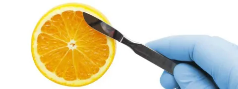 Vitamine C-niveau crasht tijdens knieoperatie