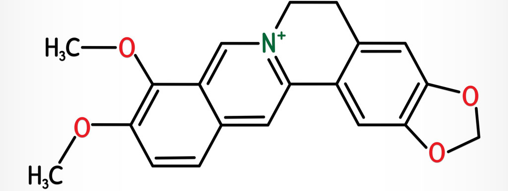 Berberine minder vette lever