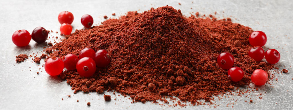 Cranberry verhogen bifidogene bacteriën