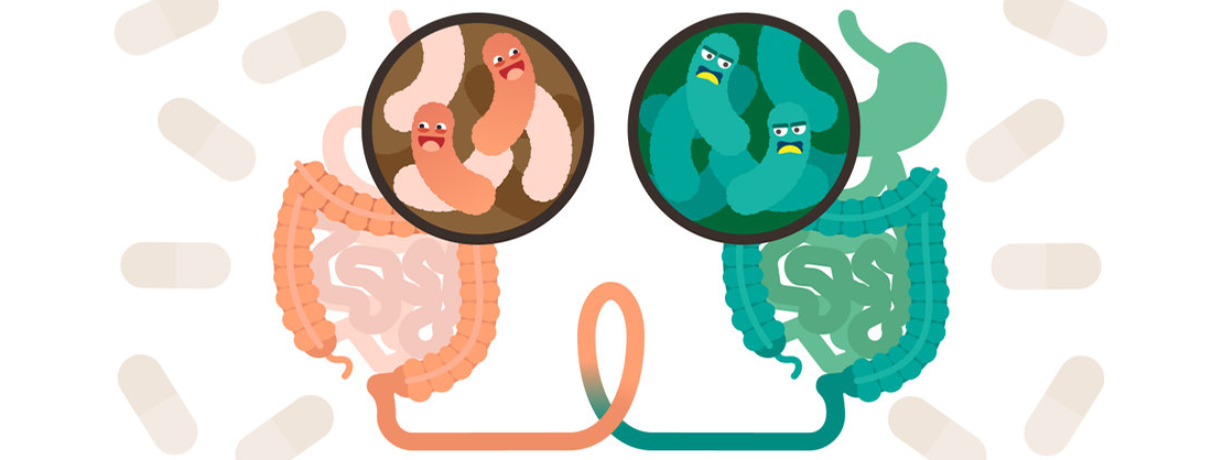 Fecale transplantatie antiaging