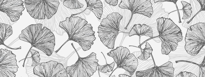 Ginkgo assisteert bij nierschade door hoge bloeddruk