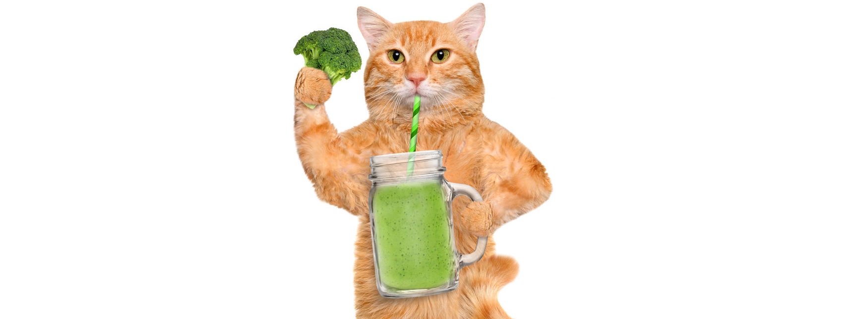 Stress, groente en fruit