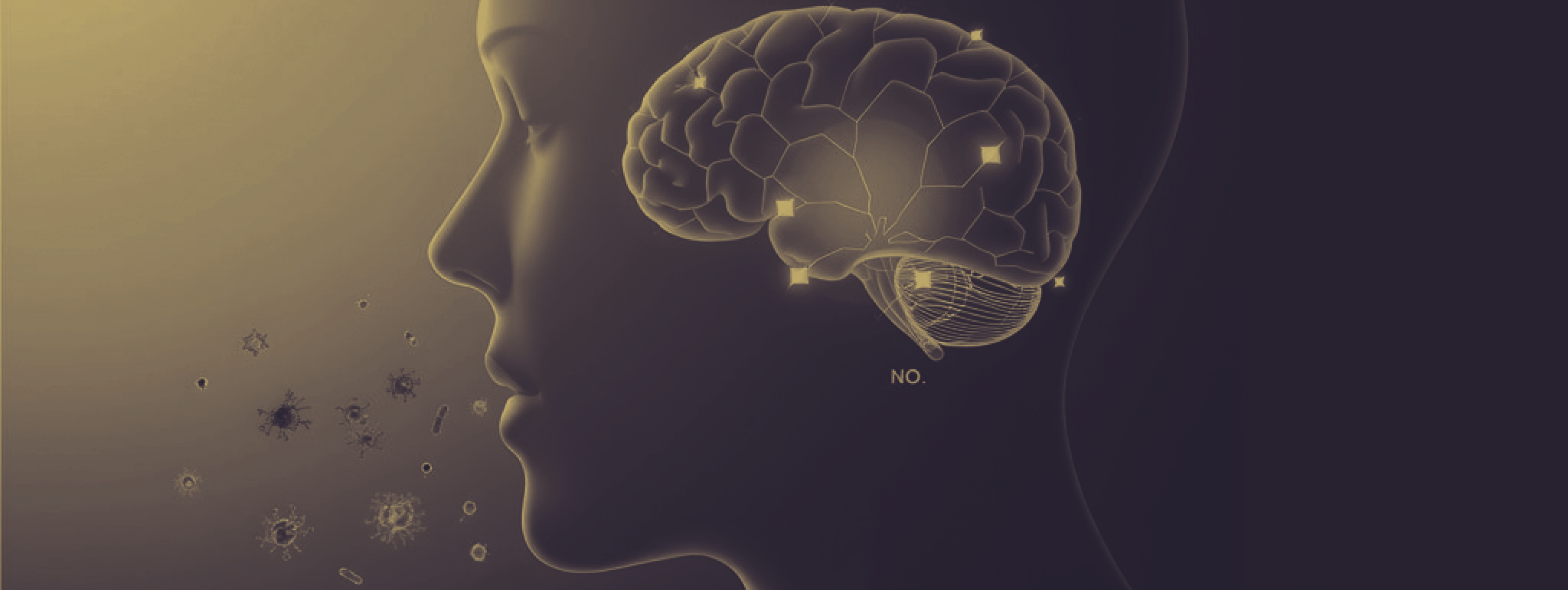 Mondbacteriën en de hersenen