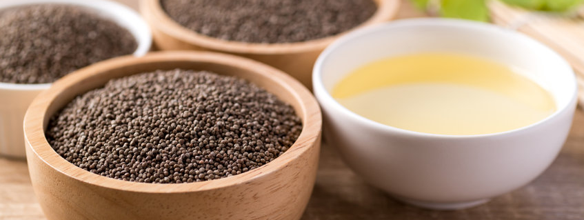 Perillaolie en flavonoïden verbeteren cognitie