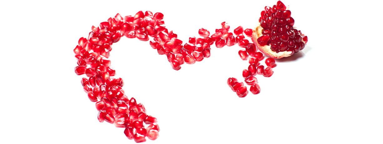 Stof darmflora voor de spieren