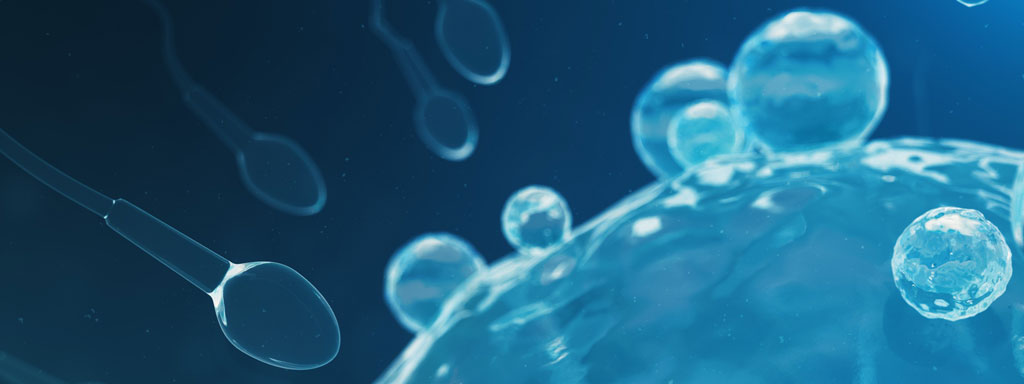 Antioxidant vermindert onvruchtbaarheid