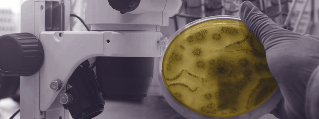 Parkinson en microbiota-transplantatie