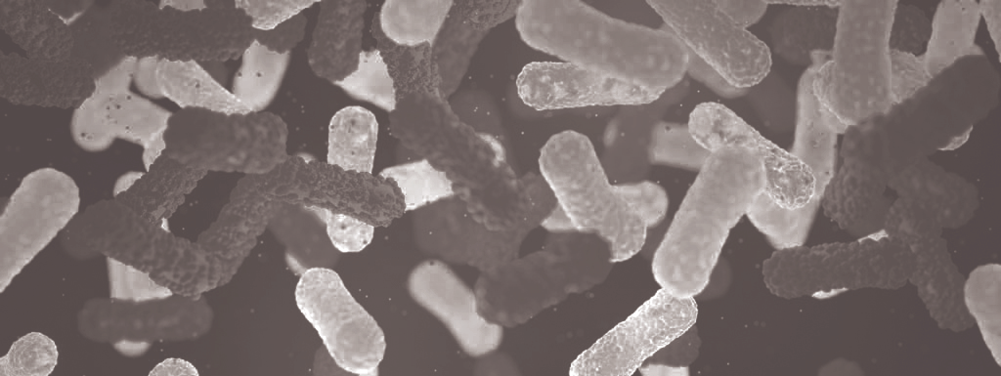 Grote verschillen in inname voedselmicroben