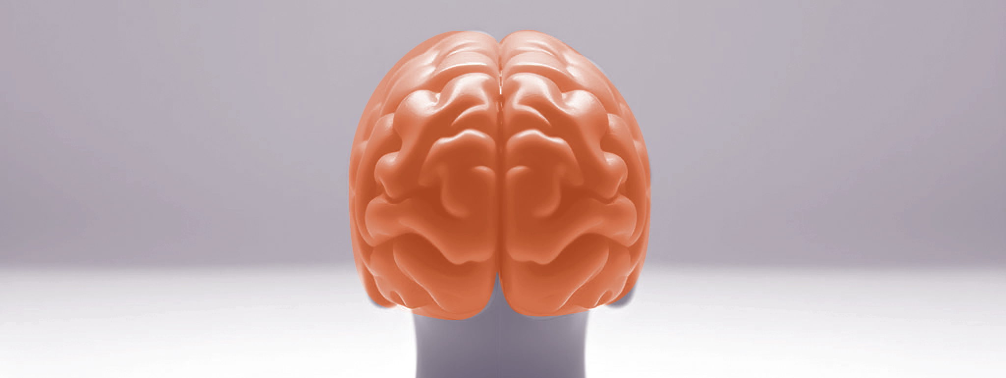 Vitamine C als onderdeel van de hersen-darm-as