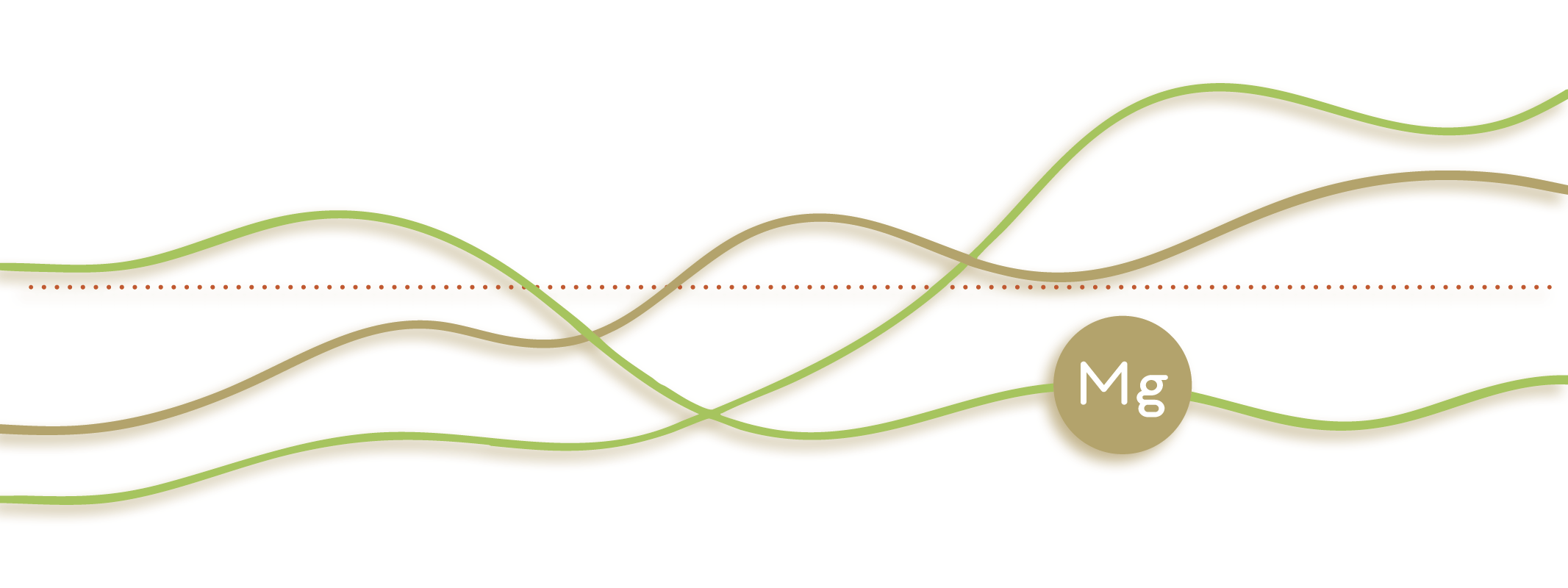 Is de magnesiuminname in Nederland toereikend?
