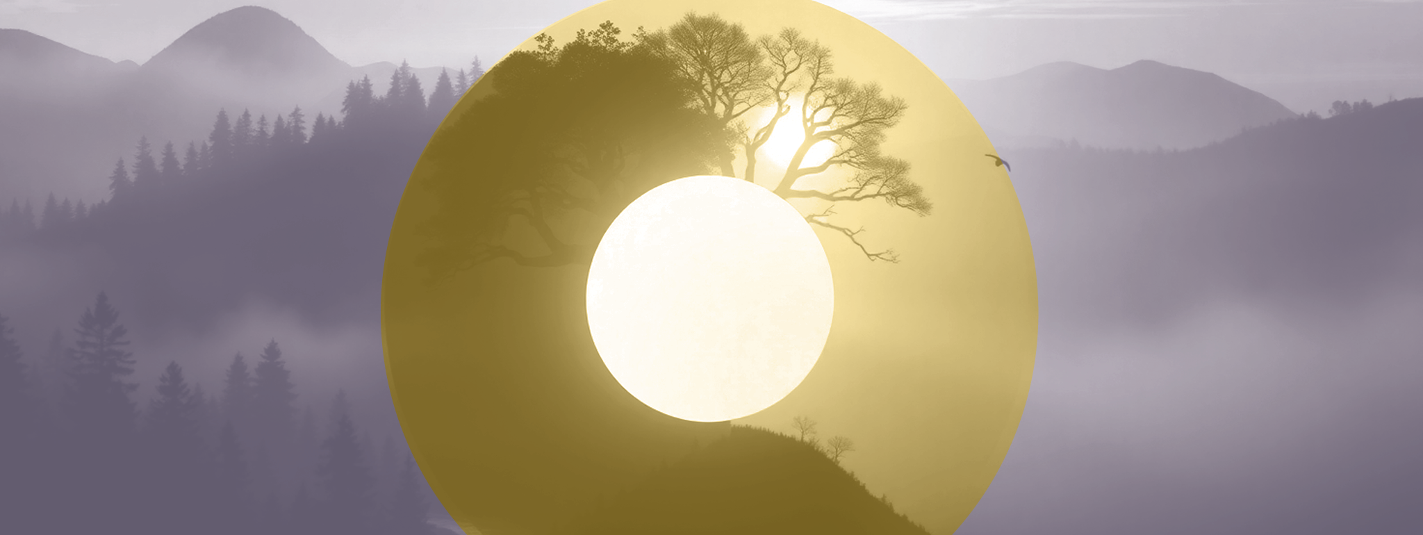 Vele baten van zonlicht