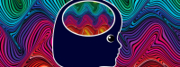 ADHD geen directe relatie met aminozurentekort