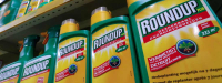 Glyfosaat veroorzaakt DNA-schade bij lage dosis