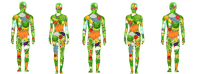 Groenten en fruit voor betere botgezondheid