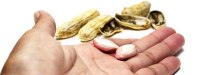 Immuuntherapie heeft beperkt resultaat bij pinda-allergie
