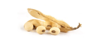 Nutritionele link tussen ontstekingen en kanker
