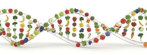 Echte voeding in de voedingsrichtlijnen