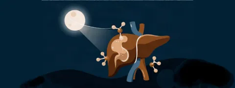 melatonine