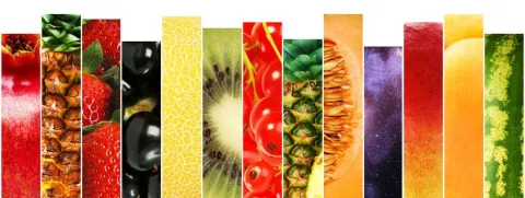 Antioxidanten verhinderen LDL-oxidatie niet