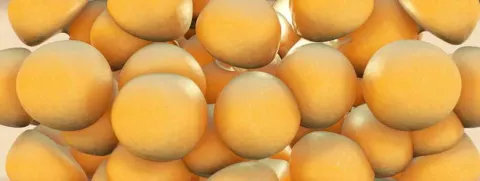 Vetweefsel manipuleren om obesitas te voorkomen