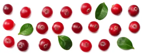 Cranberry afhankelijk van metabool type