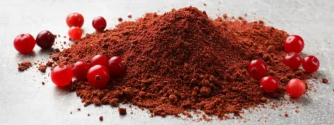 Cranberry verhogen bifidogene bacteriën