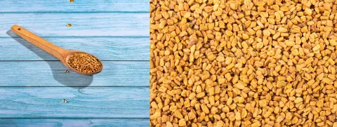 Best antidiabetic probiotic