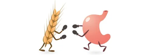 Gluten verantwoordelijk voor ontwikkeling coeliakie?