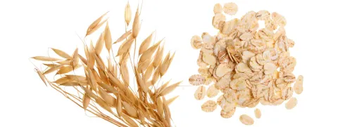 Bètaglucanen beschermen marathonlopers tegen verkoudheid