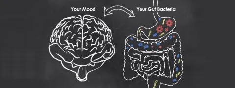 Probiotica verbeteren stemming