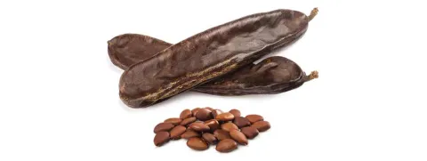 Pinitol verbetert leverstatus bij leververvetting