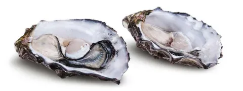 Kopertekort doet vetcellen zwellen