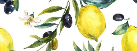 Citrus- en olijfbladpolyfenolen ondersteunen hart en vaten