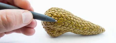 Melatonine voorkomt pancreatits