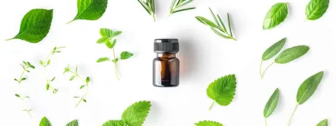 Salie, citroenmelisse en rozemarijn zijn geheugenverbeteraars