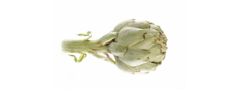 Artisjok en gember snelle hulp bij dyspepsie