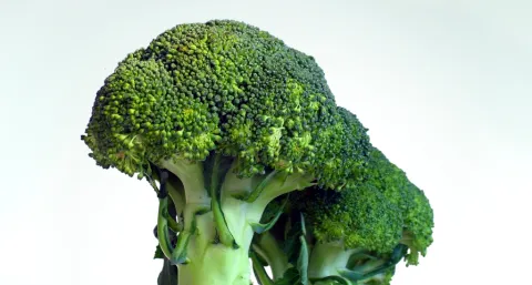 Broccoli en cardiovasculair risico: rol van genotype