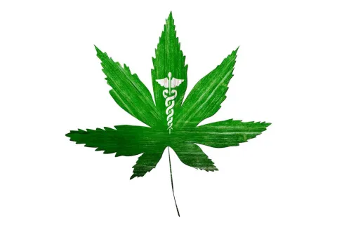 Cannabisextract bedwingt agressieve hersentumor