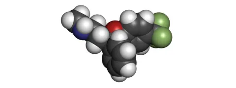 Foliumzuur beschermt de pancreas tegen Prozac
