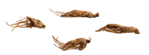 Rode ginseng voor gezondere bloedvaten