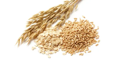Haver geen ideale vervanger van gluten