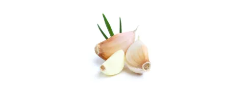 Knoflook actief tegen multiresistente bacteriën