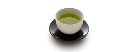 Groene thee stimuleert DNA-herstel
