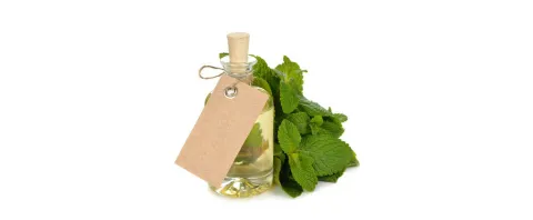 Aromatherapie met munt tegen misselijkheid