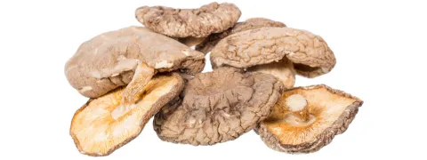 Shiitake versterkt immuniteit, verlaagt ontstekingen