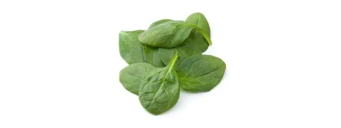 Nitraat verlaagt het rustmetabolisme