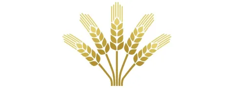 Non-coeliakie glutengevoeligheid schoorvoetend erkend