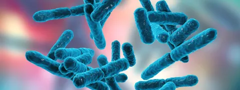 Synbioticum tegen vette lever