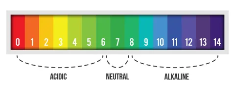 Zuur-base-evenwicht en cardiometabole risicofactoren
