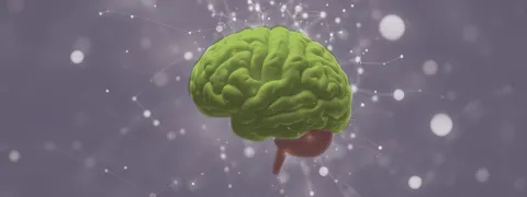 DHA verbetert geheugen en celveroudering